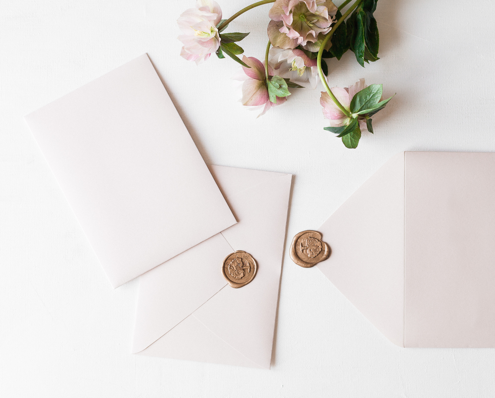 wedding website wedding website examples best wedding websites what to include on a wedding website wedding website checklist how to create a wedding website wedding website wording examples
